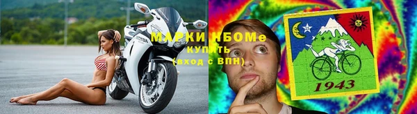 хмурый Абаза