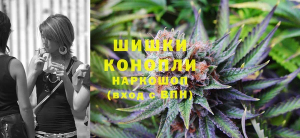 хмурый Абаза