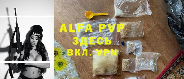 хмурый Абаза