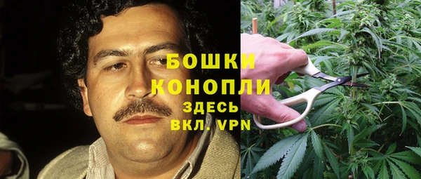 хмурый Абаза