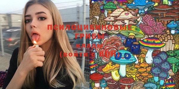 хмурый Абинск