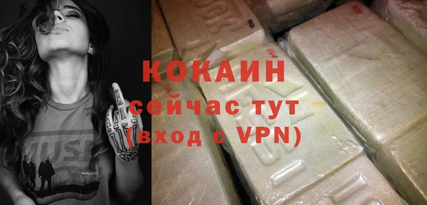 хмурый Абаза
