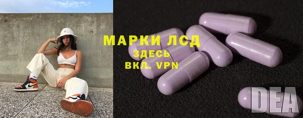 хмурый Абаза