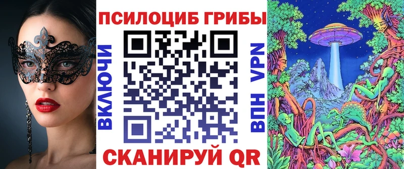 наркотики  Бугуруслан  kraken как зайти  Псилоцибиновые грибы ЛСД 