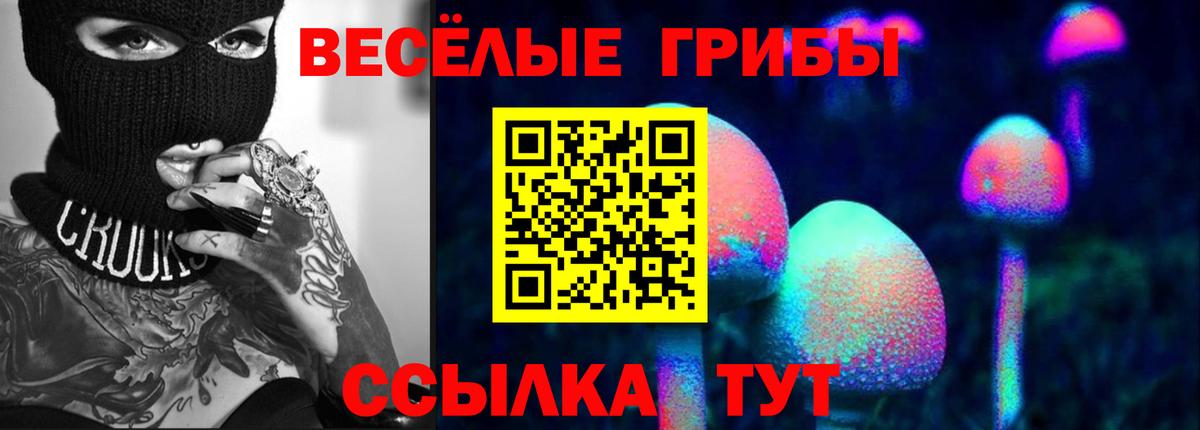 Галлюциногенные грибы ЛСД  Вход с VPN  Бугуруслан  Псилоцибиновые грибы Psilocybe 